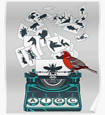 Alphabet of Life Poster