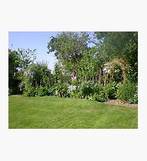 Serene Country Garden Photographic Print
