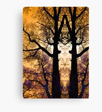 Tree Tracery Canvas Print