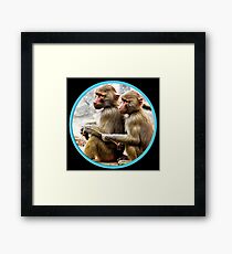 Two young baboons - siblings Framed Print