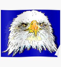 gxp bald eagle pop illustration Poster