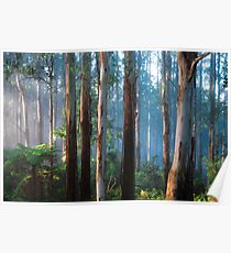 Sherbrooke Forest Poster