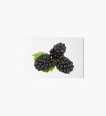 Blue Berry Art Board