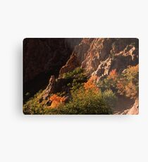 Rock Canyon Metal Print