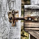 I Feel Safer Already #5 by Amy E. McCormick