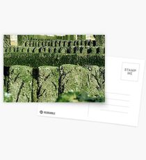 Groynes Postcards