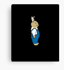 Rabbit Bunny Canvas Print