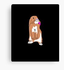 Rabbit Bunny Canvas Print