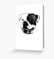 American Bulldog Face Greeting Card