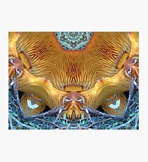 Orange Fungi altered image Photographic Print