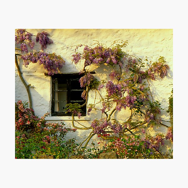 Lustleigh Cottage Photographic Print