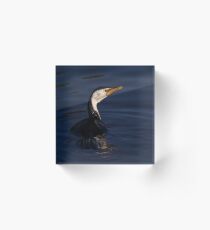 Portland Shag Acrylic Block