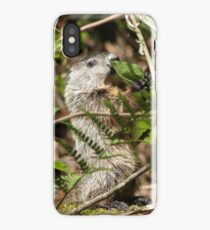 Groundhog iPhone Case