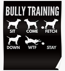 Bully Training English Bull Terrier Tricks Poster