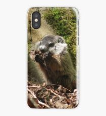 Groundhog iPhone Case