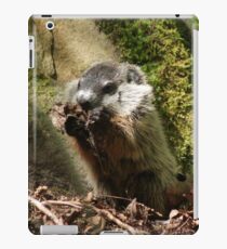 Groundhog iPad Case/Skin