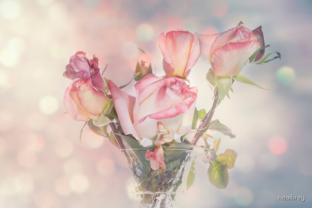 "Sparkling roses" by nealbrey Redbubble