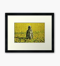 Stranded in the sunflower field Framed Print