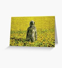 Stranded in the sunflower field Greeting Card