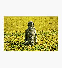 Stranded in the sunflower field Photographic Print
