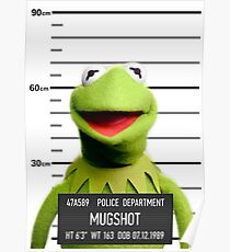 Kermit Mugshot Poster