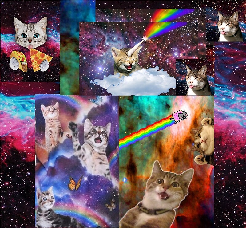 "Rainbow Space Cat" by redbubbleheart Redbubble