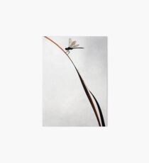 Still Life Art Board