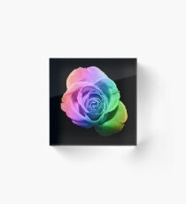 Rainbow Rose Acrylic Block