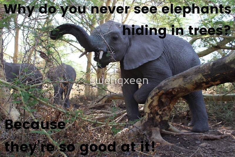 Trees you why see do never in elephants hiding How come