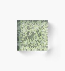 Beta Pokemon Acrylic Block