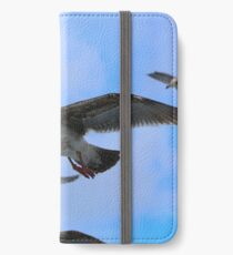 Many Seagulls iPhone Wallet/Case/Skin