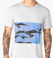 Many Seagulls Men's Premium T-Shirt