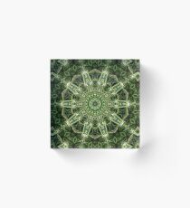 Spider Plant Kaleidoscope Art 4 Acrylic Block
