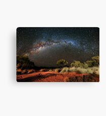 Spinifex and Stars Canvas Print