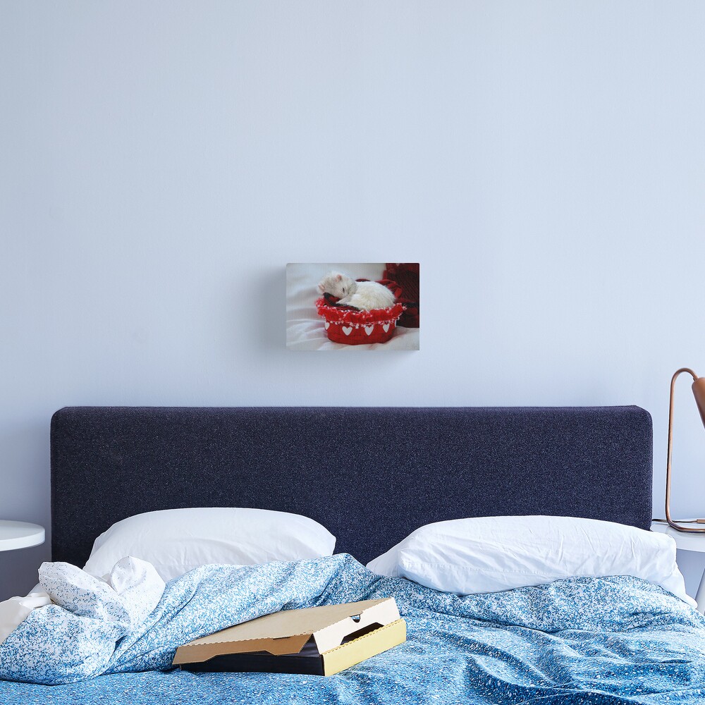 My Basket of Love Canvas Print