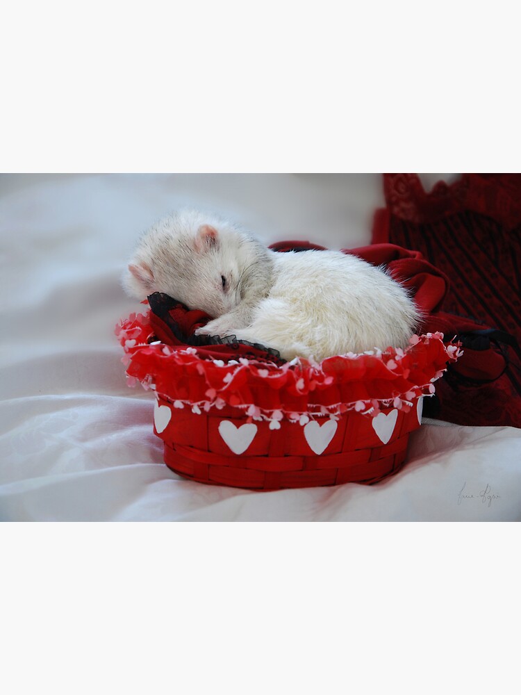 My Basket of Love by Marie-Agnes