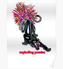 EXPLODING PUSSIES Poster