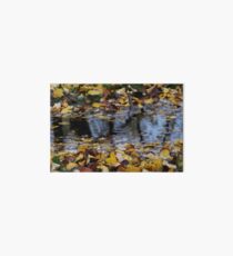 Autumn Puddles Art Board
