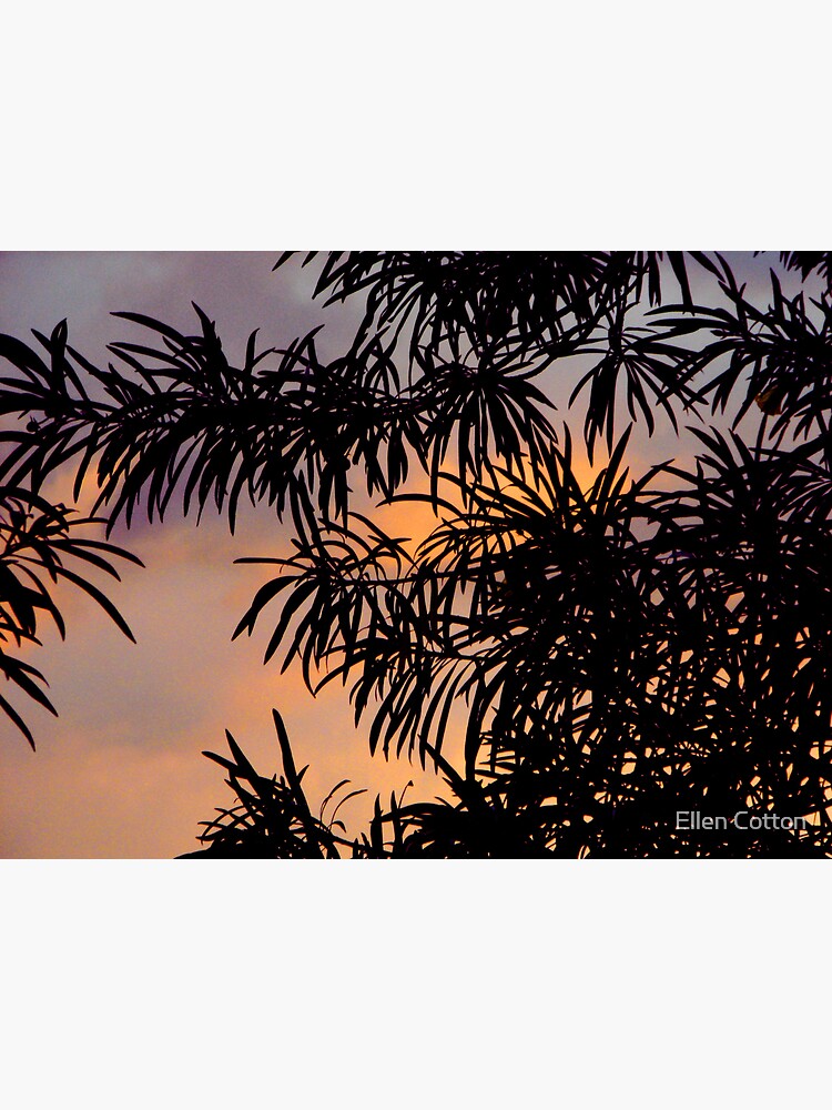 Hawaiian Sillouette by ellcot