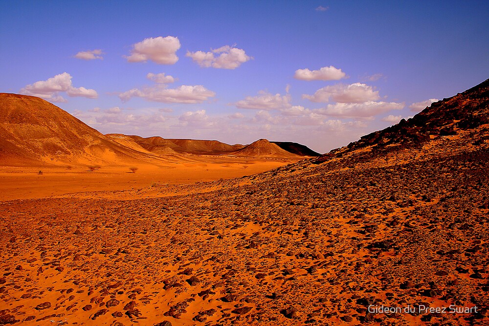 The Nubian Desert By Gideon Du Preez Swart Redbubble   Flat,1000x1000,075,f 