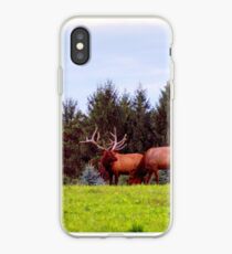 Huge Bull Elk iPhone Case