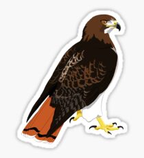 Red-Tailed Hawk Sticker