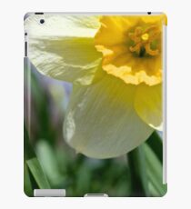 Daffodil iPad Case/Skin