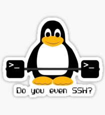 Do you even SSH? Sticker
