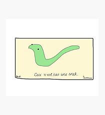 Ceci n'est pas une Snek Photographic Print