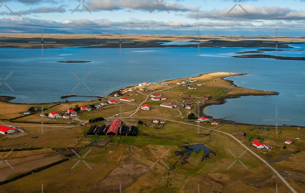 Goose Green, Falkland Islands." by Terry Mooney | Redbubble