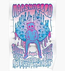 Marshmello Concert Poster Poster