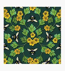 Bumblebees and Buttercups - Green & Yellow Floral/Botanical Pattern Photographic Print