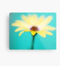 Yellow African Daisy on Brilliant Green Metal Print