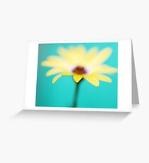 Yellow African Daisy on Brilliant Green Greeting Card